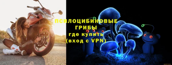 дживик Михайлов