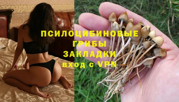дживик Михайлов