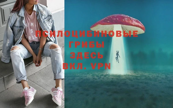 Альфа ПВП Михайловск