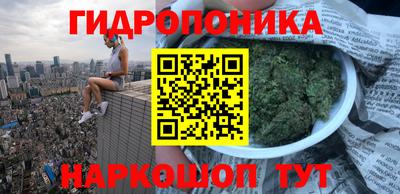 spice Будённовск