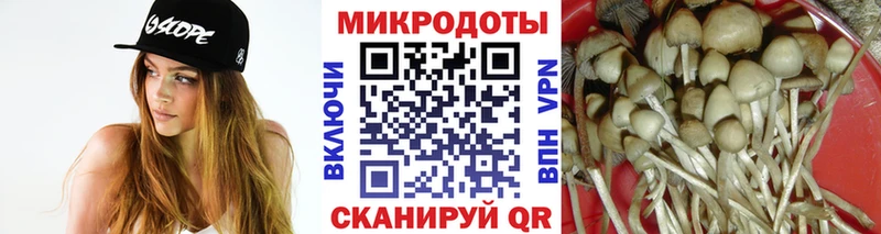 купить закладку  Тулун  ссылка на мегу зеркало  Галлюциногенные грибы прущие грибы 