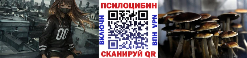 Галлюциногенные грибы Psilocybe Тулун