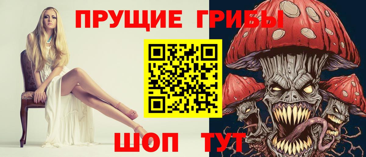 Псилоцибиновые грибы Cubensis  Тулун 