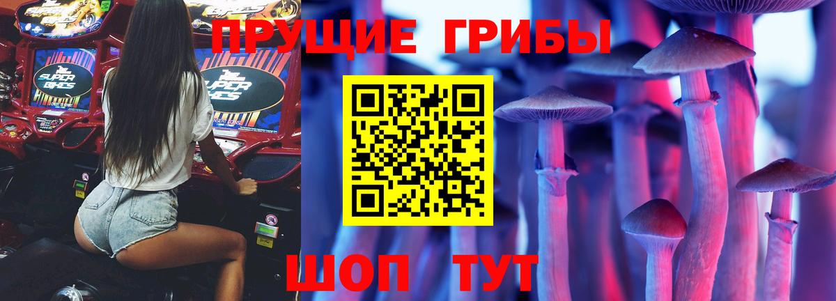 Галлюциногенные грибы Cubensis  Вход с VPN  Тулун 