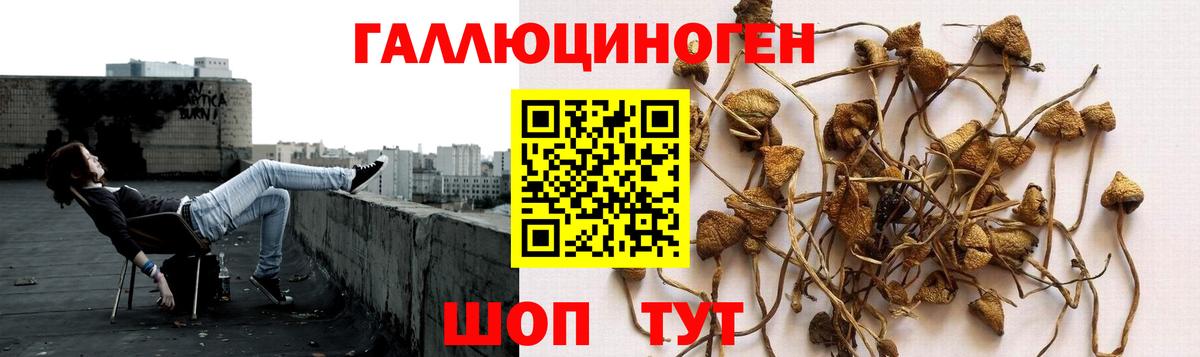 COCAIN  ГАШИШ  МЕФ   ГАШ  Тулун  КЕТАМИН  Меф  Вход с VPN 